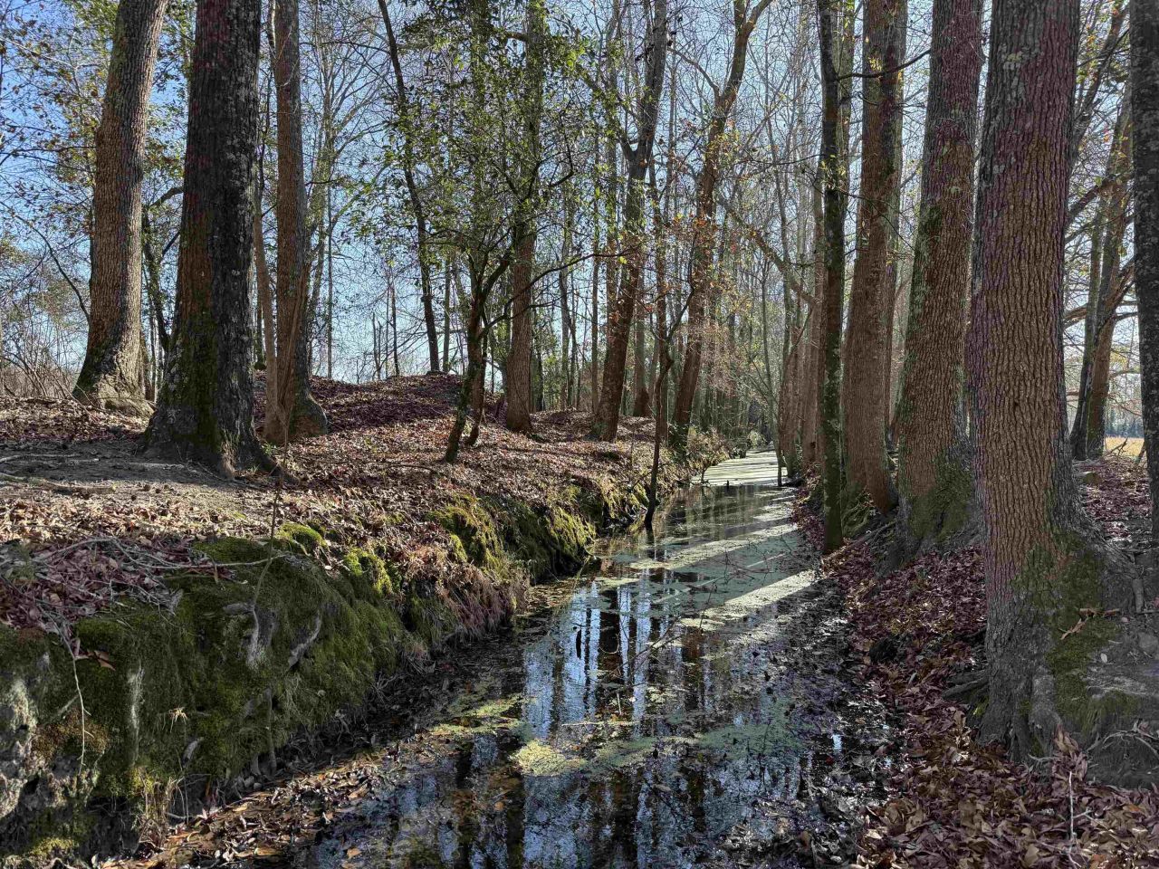 10686 Scott Ave Photo 3