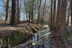 10686 Scott Ave photo 4