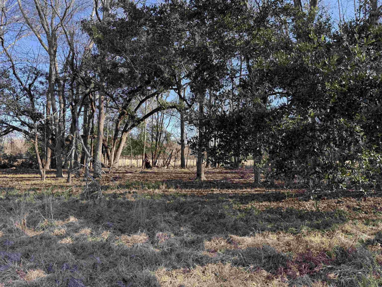 10686 Scott Ave Photo 4