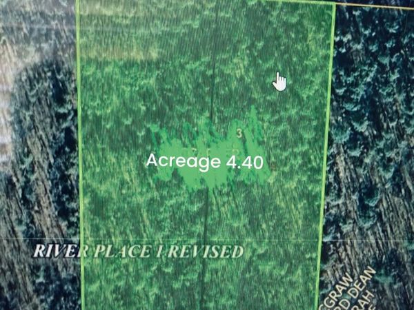 31 W Southridge Road, Bigelow, AR 72150