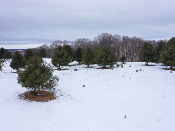 Lot 2 Spirit Lake Access Road , Frederic, WI 54837