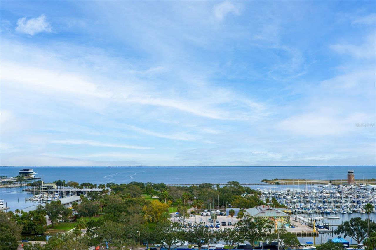 175 1st Street S, Unit 1008, Saint Petersburg, FL 33701 Photo