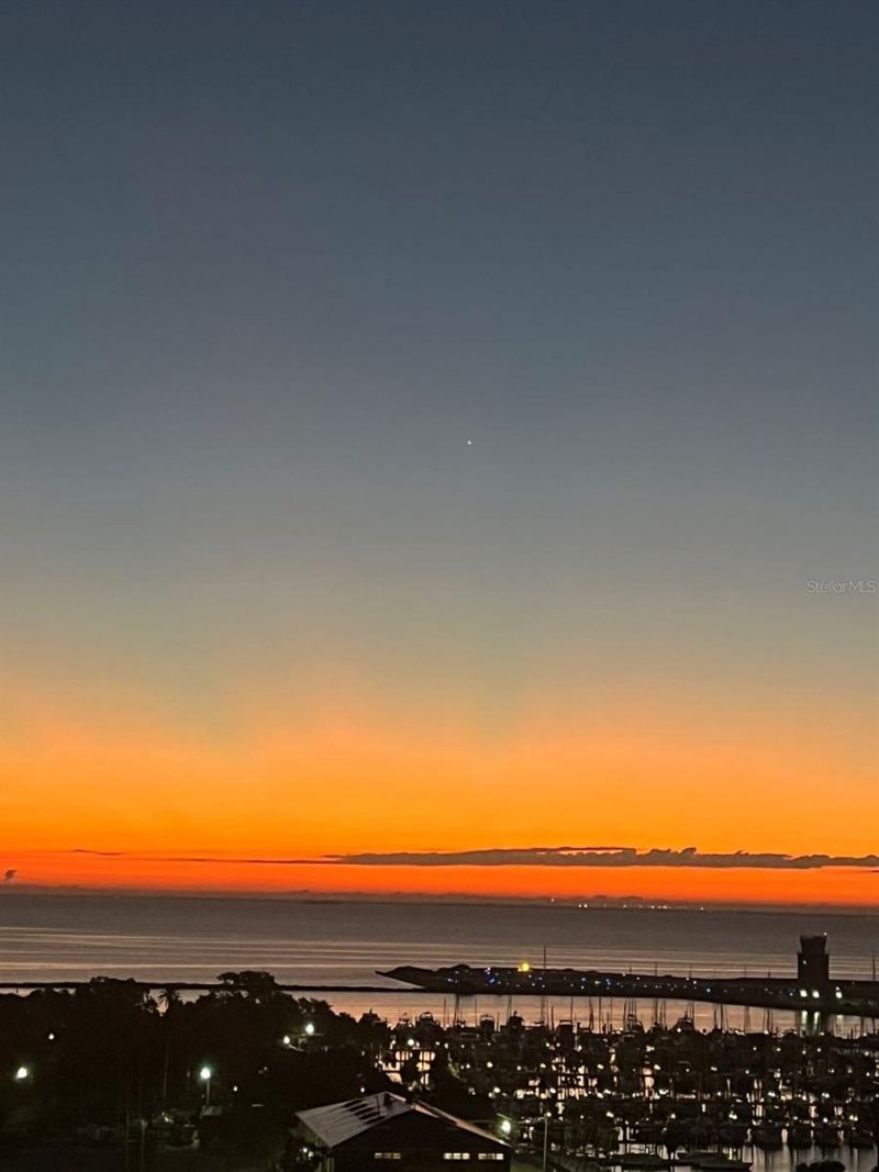 175 1st Street S, Unit 1008, Saint Petersburg, FL 33701 Photo