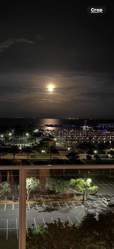 175 1st Street S, Unit 1008, Saint Petersburg, FL 33701 Photo