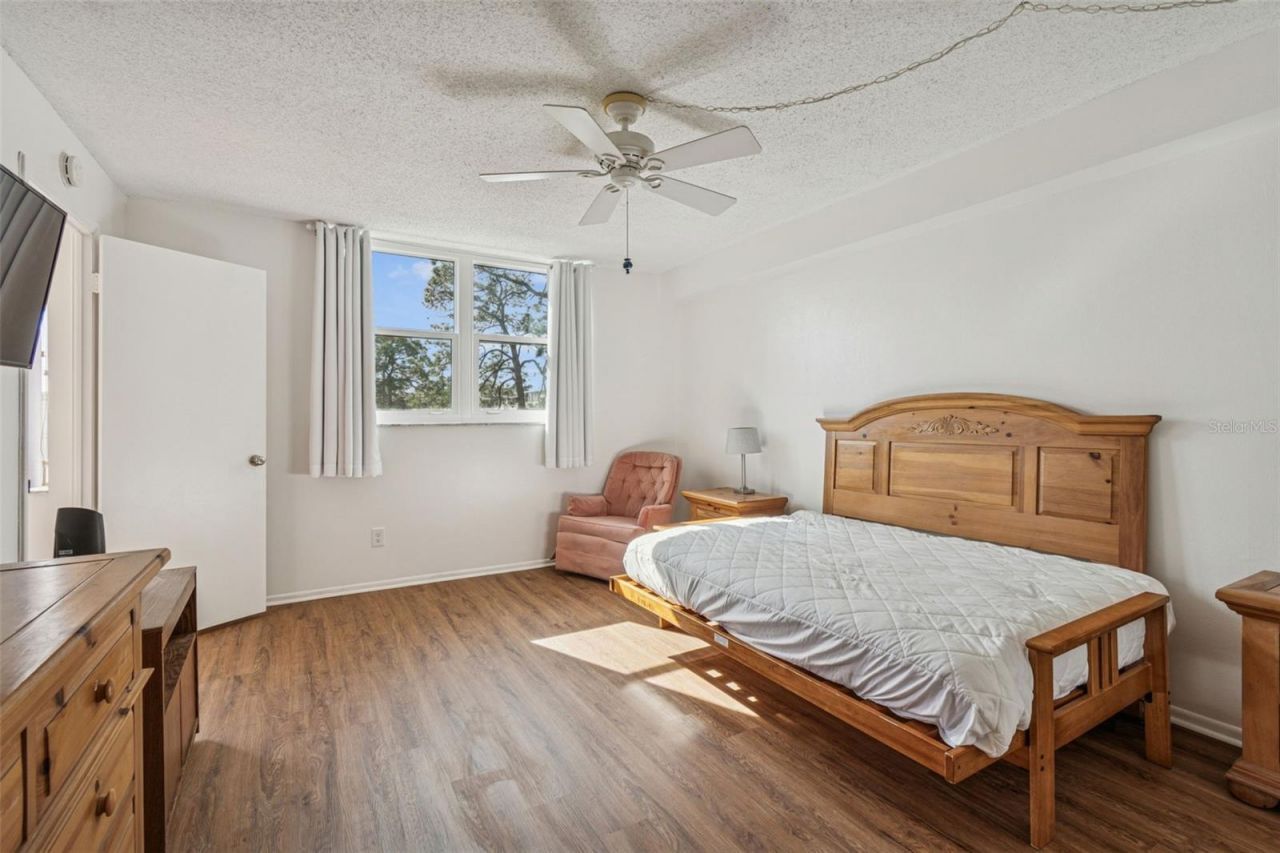 4885 1st Street Ne, Unit 203, Saint Petersburg, FL 33703 Photo