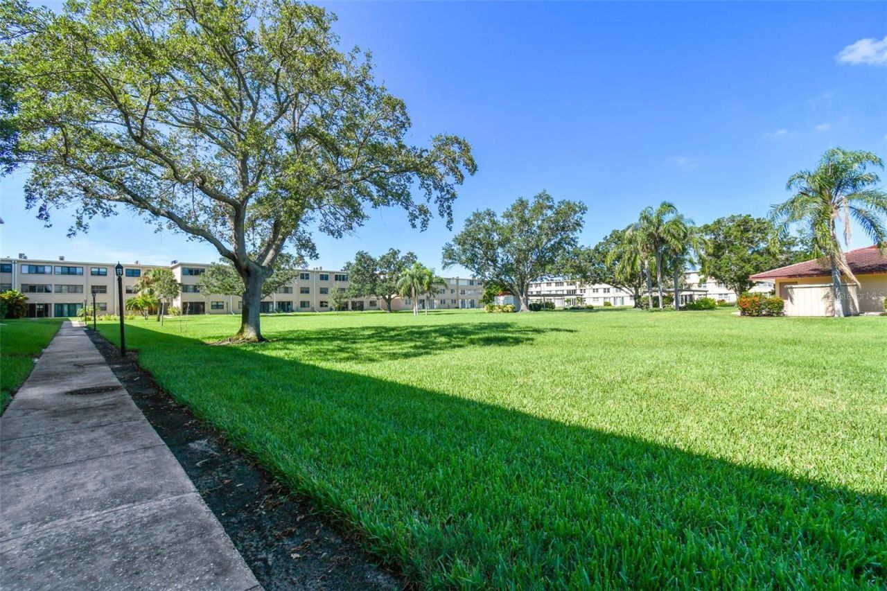 4885 1st Street Ne, Unit 203, Saint Petersburg, FL 33703 Photo