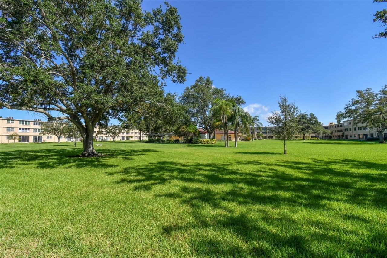 4885 1st Street Ne, Unit 203, Saint Petersburg, FL 33703 Photo