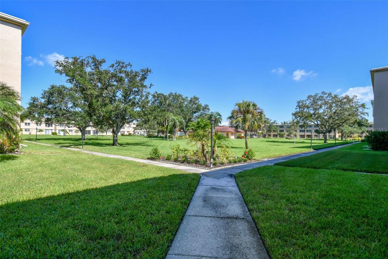 4885 1st Street Ne, Unit 203, Saint Petersburg, FL 33703 Photo