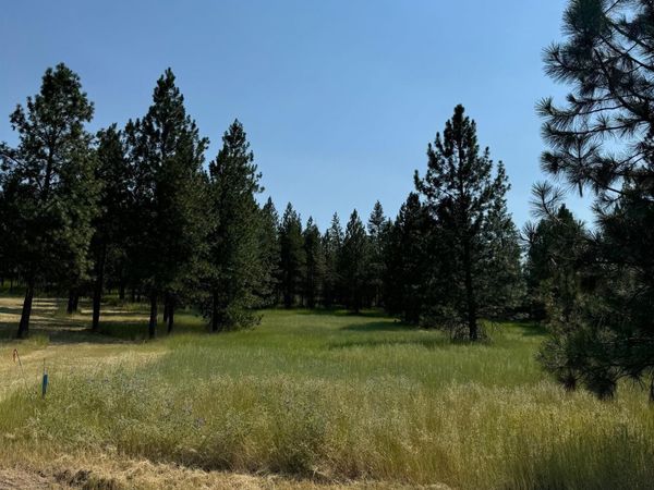 498XX E Forest Dr, Davenport, WA 99122