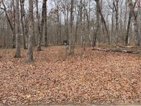 0 Cooleys Rift Blvd, Monteagle, TN 37356