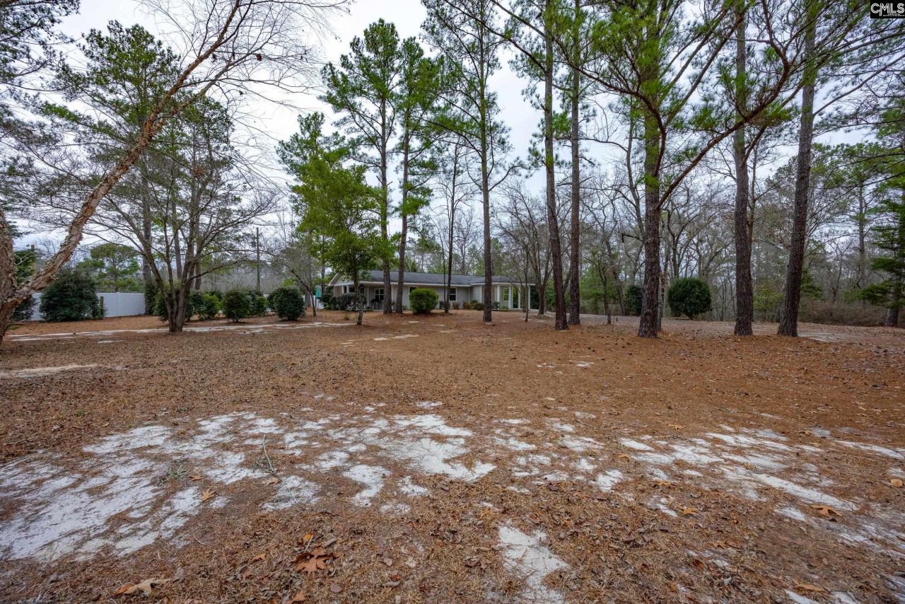 2668 Steven Campbell Road Photo 32