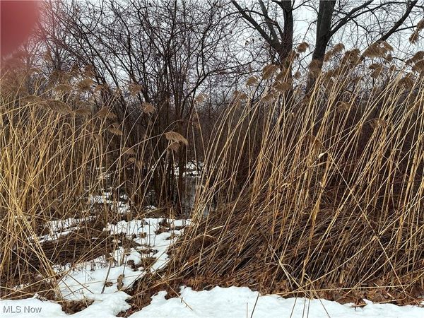 V/L Appaloosa Trl, Madison, OH 44057