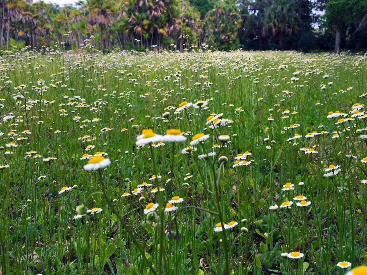 Please Call For Address, Sarasota, FL 34243 Photo