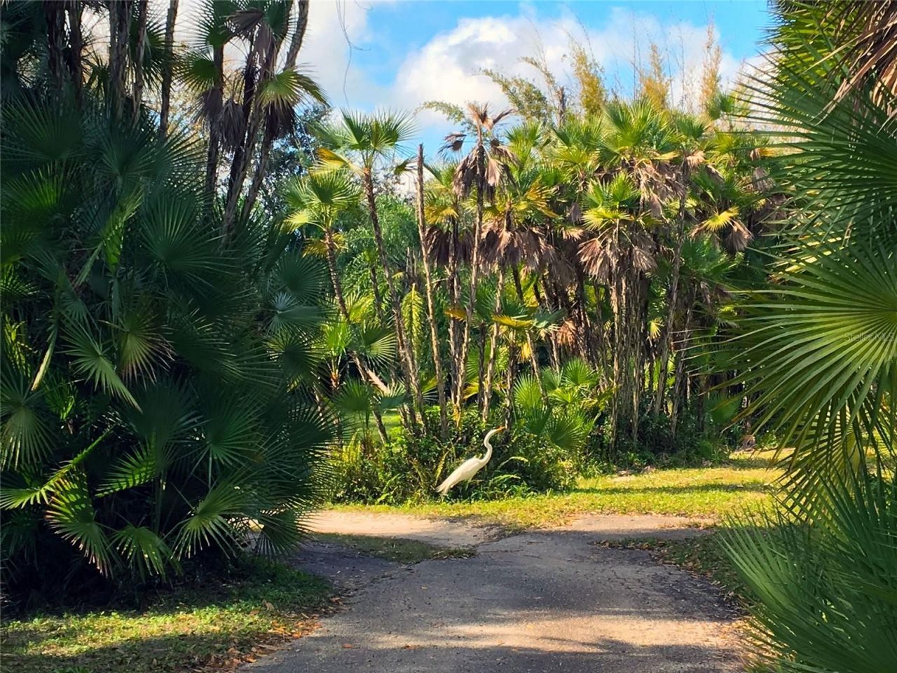 Please Call For Address, Sarasota, FL 34243 Photo