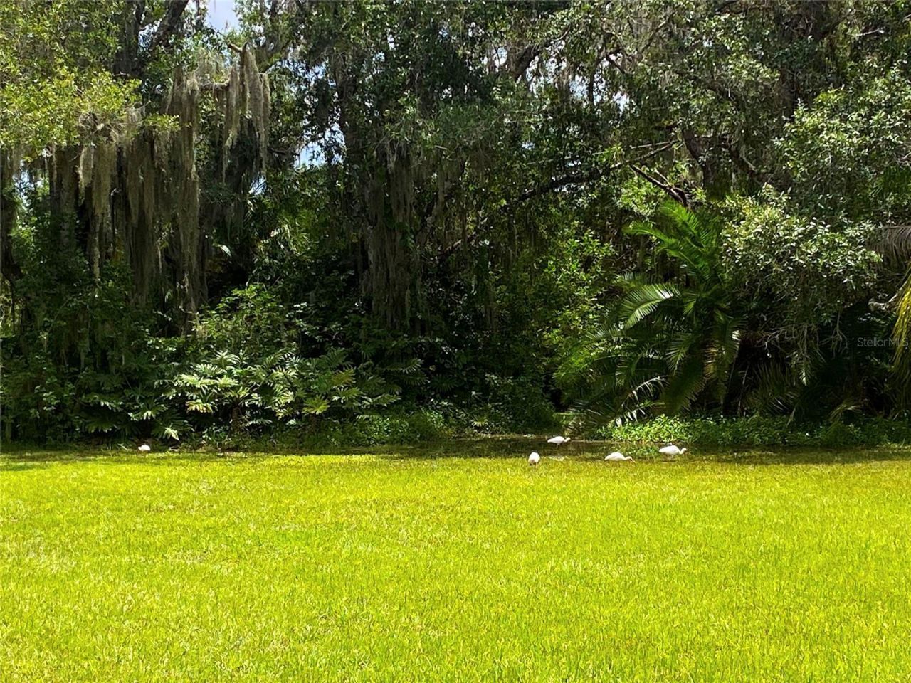 Please Call For Address, Sarasota, FL 34243 Photo