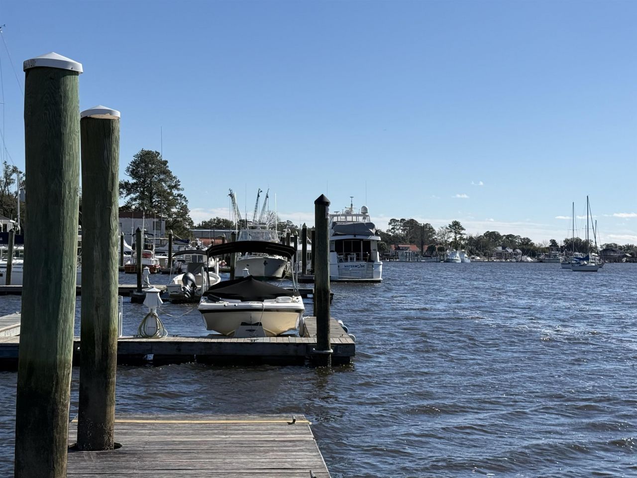 Lot 7 Cravens Grant Photo 11