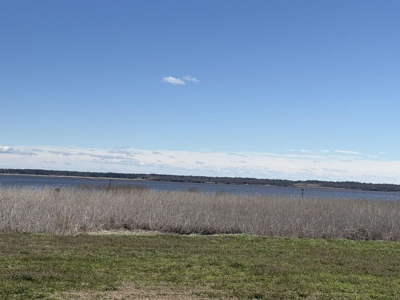 Lot 7 Cravens Grant Photo 14