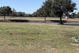 Lot 7 Cravens Grant photo 4