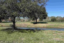 Lot 7 Cravens Grant photo 4