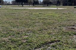 Lot 7 Cravens Grant photo 4