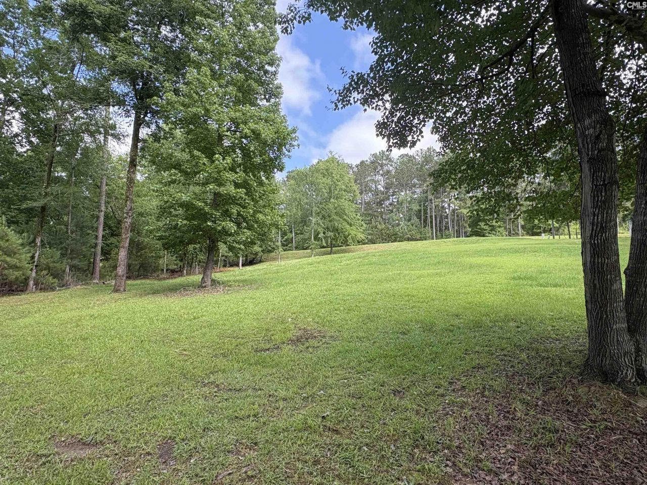 2665 Rolling Hills Road  Photo 4