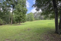 2665 Rolling Hills Road  photo 4