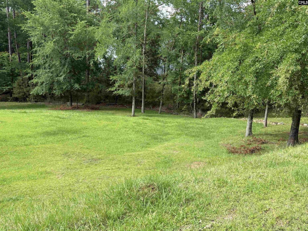 2665 Rolling Hills Road  Photo 9