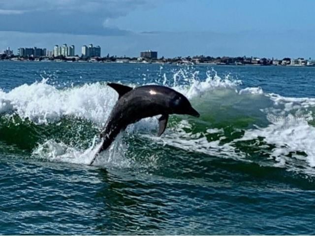 5200 Brittany Drive S, Unit 407, Saint Petersburg, FL 33715 Photo