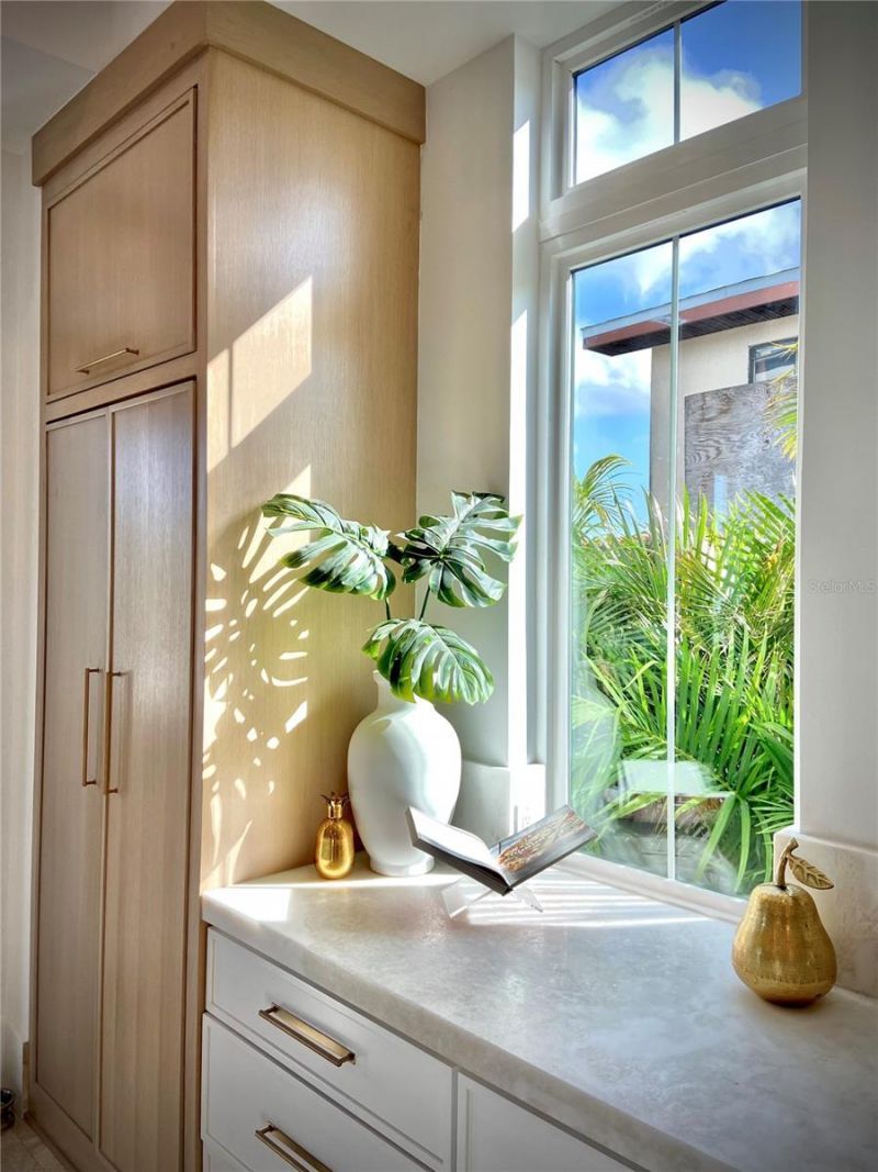 4923 W San Rafael Street, Tampa, FL 33629 Photo