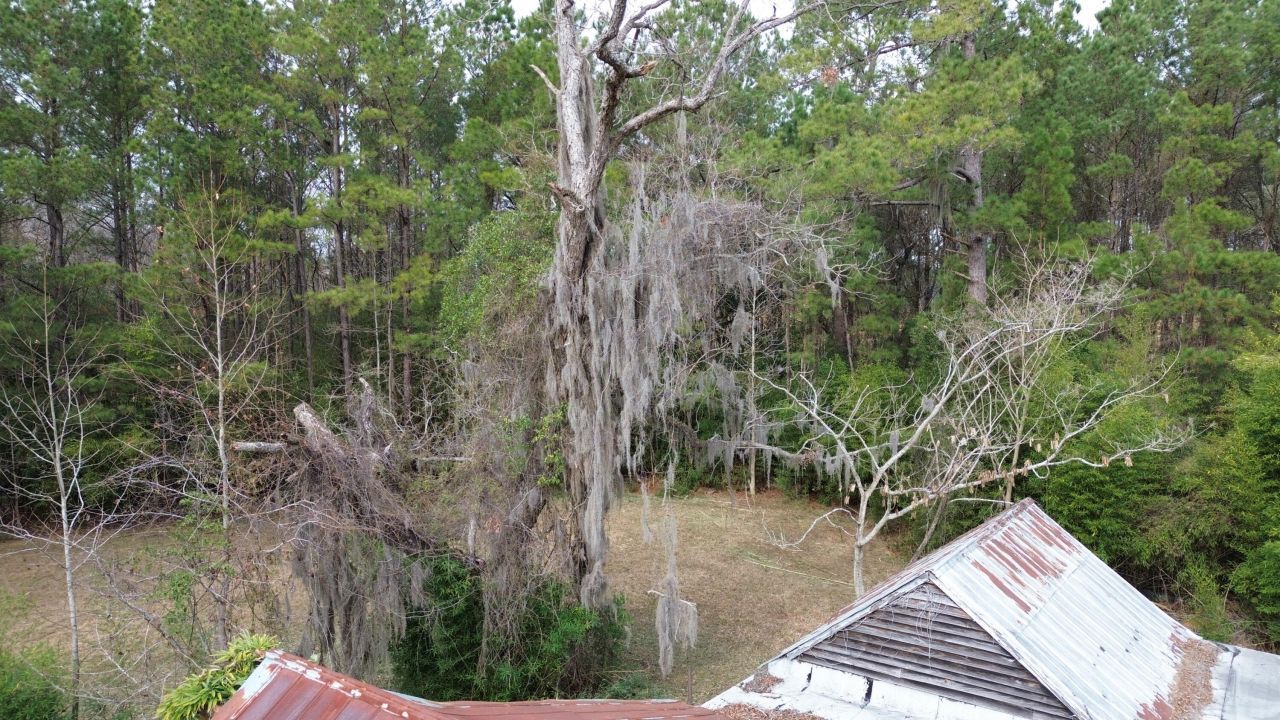 1465 Jakes Road Photo 12