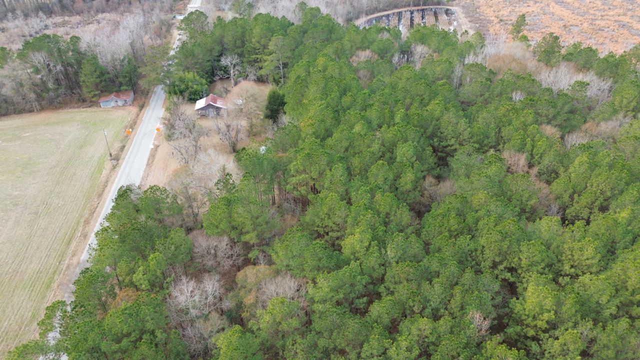 1465 Jakes Road Photo 16