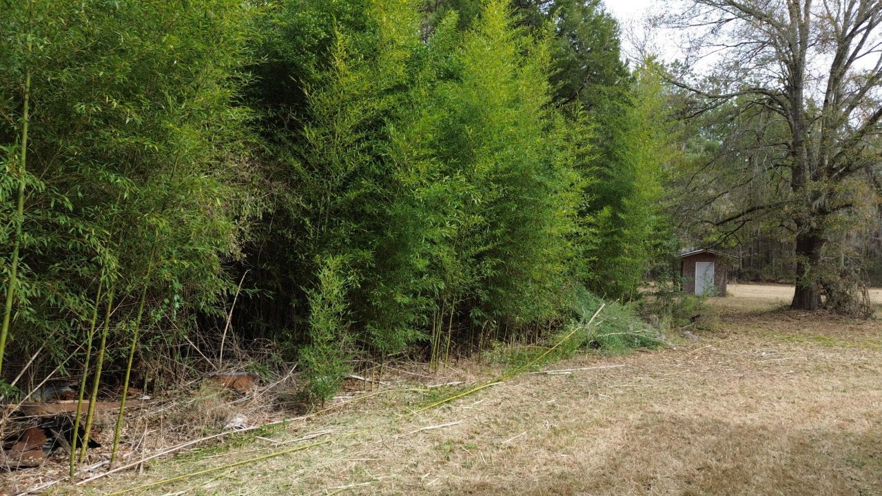 1465 Jakes Road Photo 20