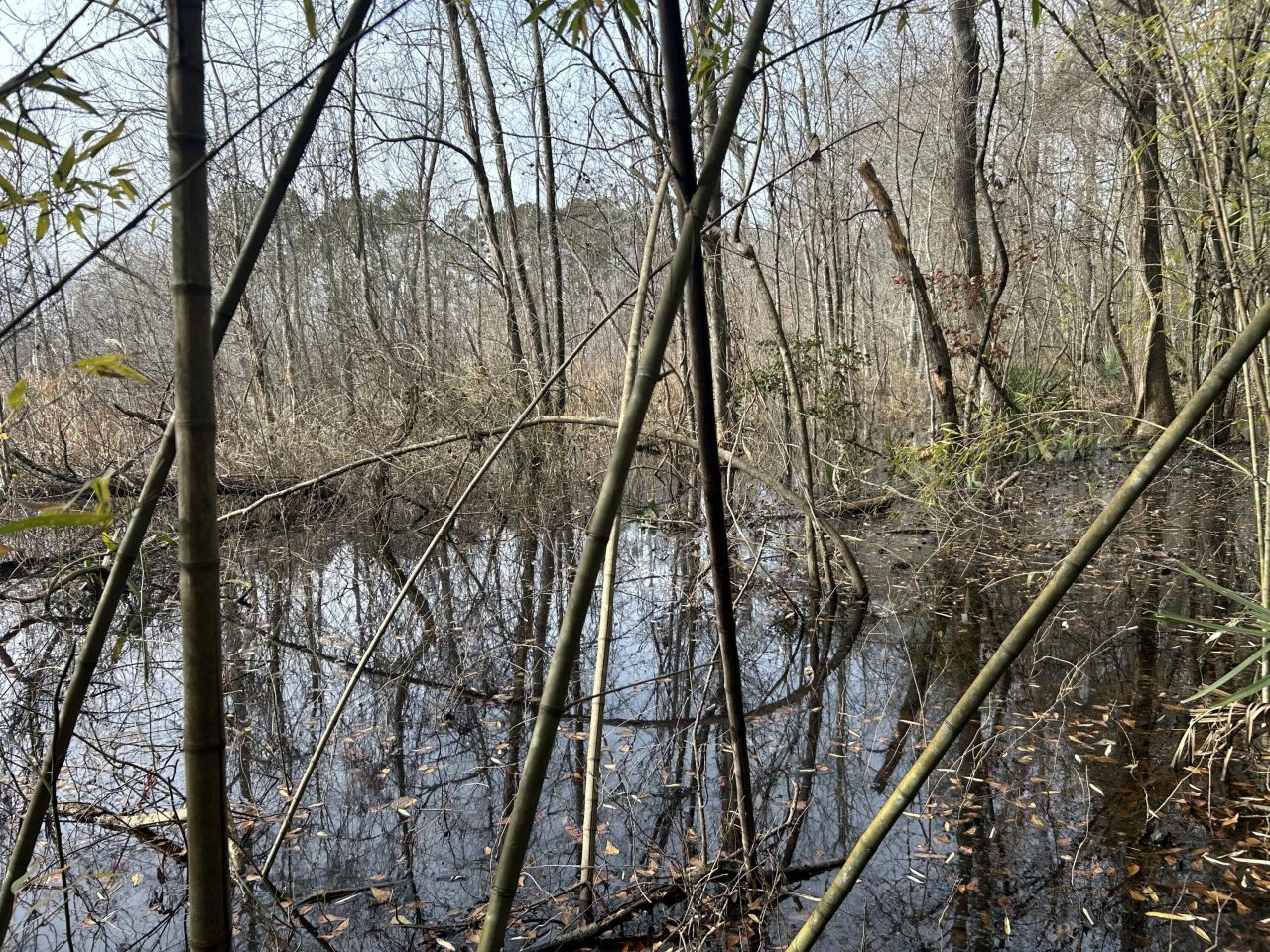 1465 Jakes Road Photo 23