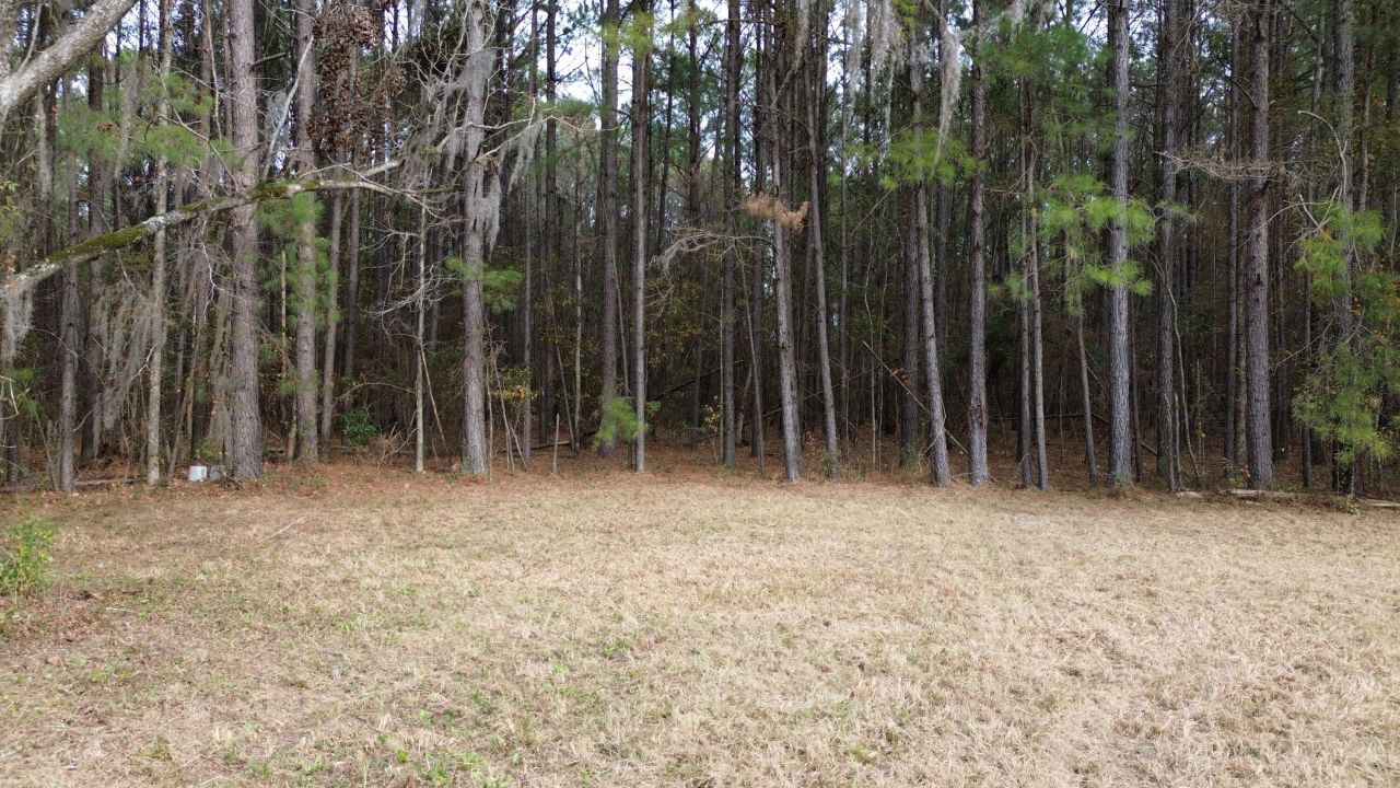 1465 Jakes Road Photo 25