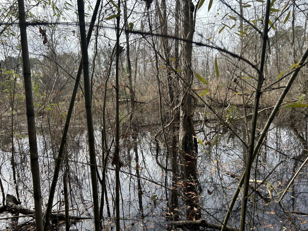 1465 Jakes Road Photo 32