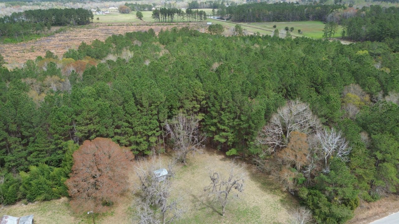 1465 Jakes Road Photo 33