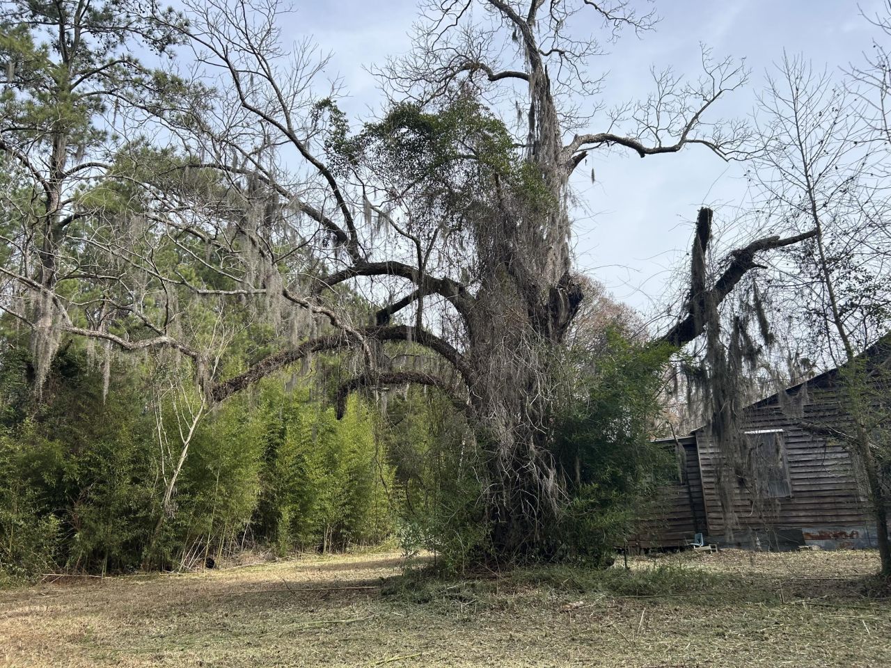 1465 Jakes Road Photo 33