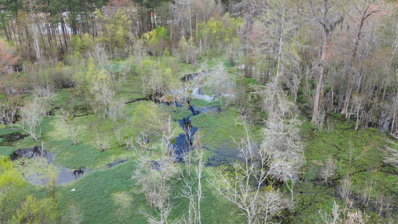 1465 Jakes Road Photo 36