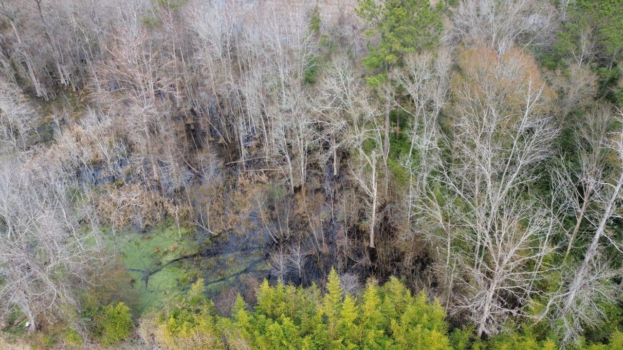 1465 Jakes Road Photo 6