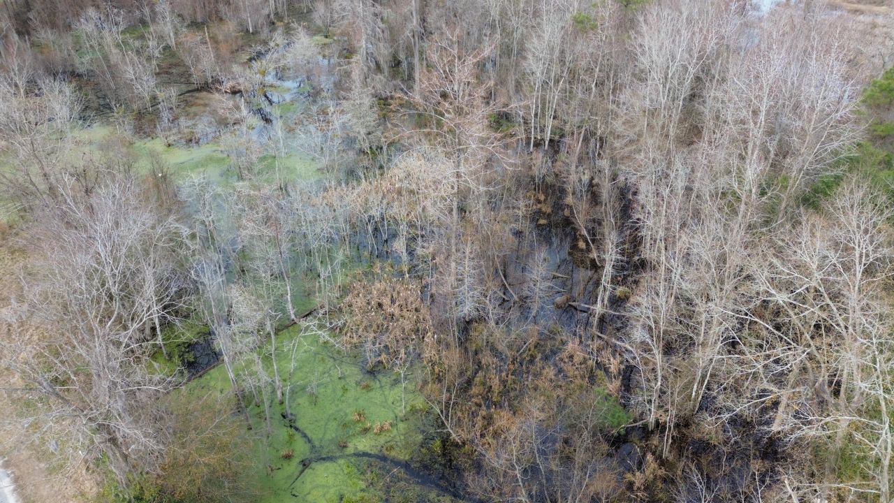 1465 Jakes Road Photo 7