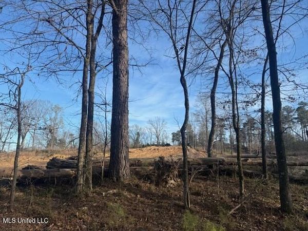 Lot 1 Slocum Road, Hernando, MS 38632