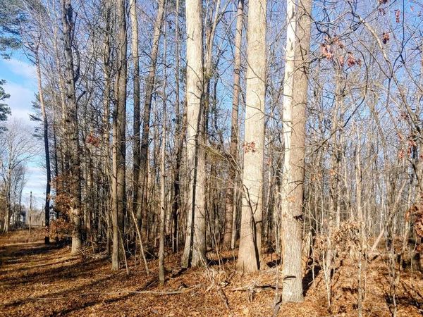 RIXEYVILLE RD. RTE. 229/ LOT 1 NEXT TO KIMBER LANE, CULPEPER, VA 22701