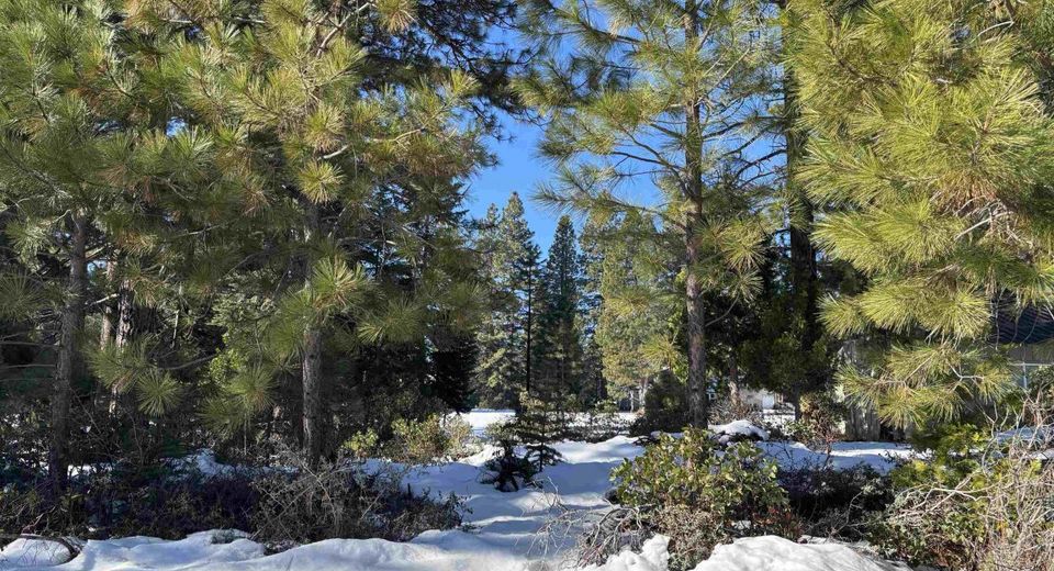 87 Durkin Drive, Lake Almanor, CA 96137 Photo