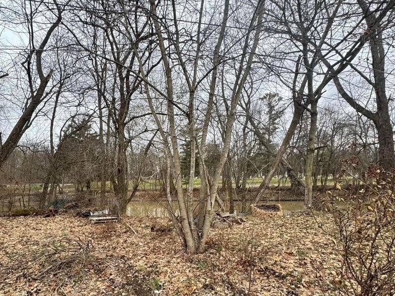 205 N Main Street, Prospect, OH 43342 Photo 5