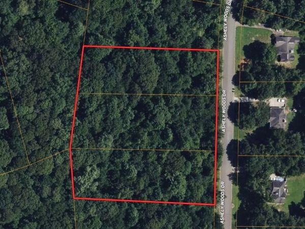 100 Ashley Woods Drive, Newnan, GA 30263