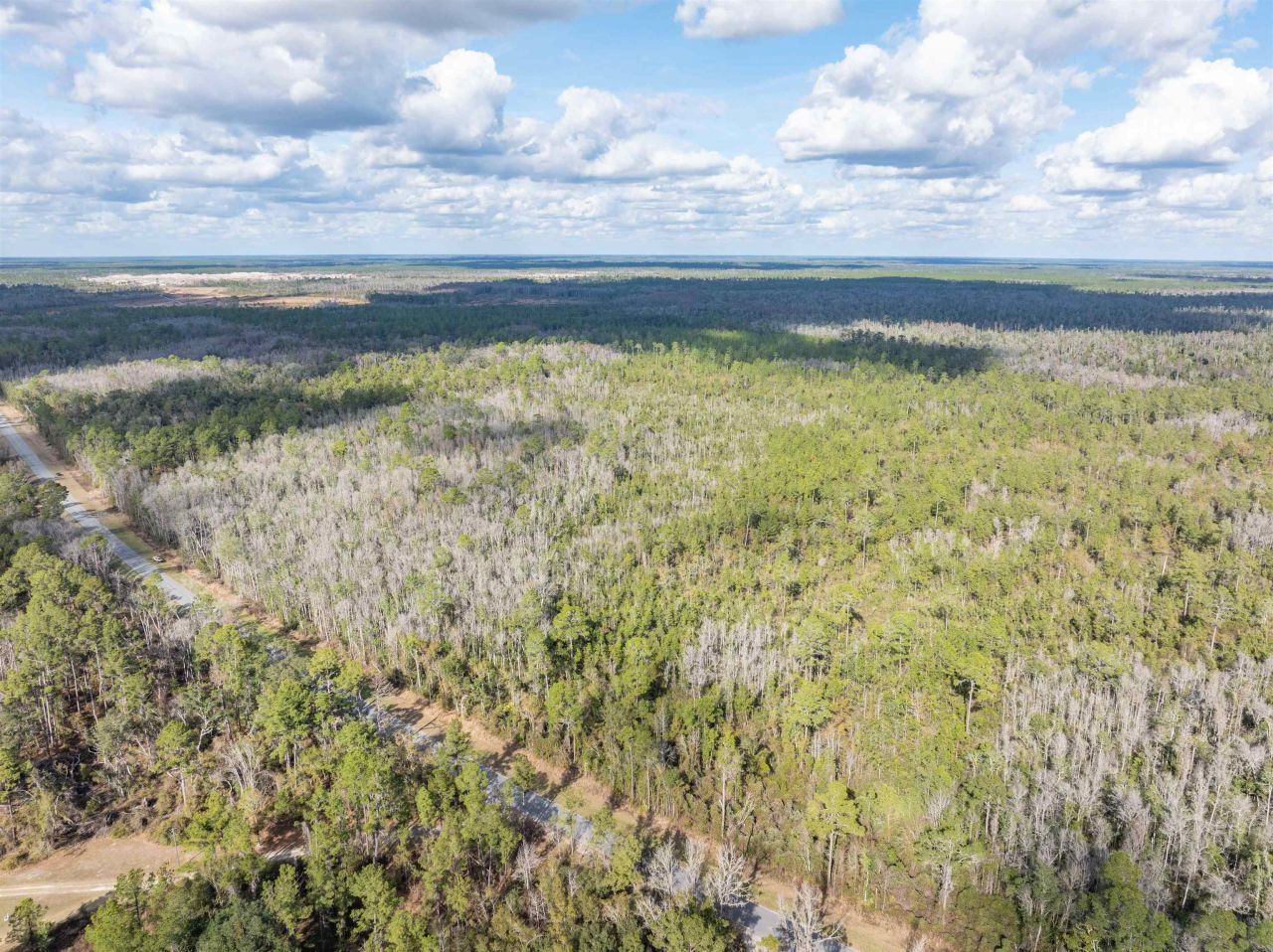 Tbd Cr 6 E, Jasper, FL 32052 Photo