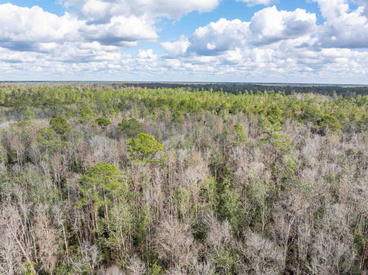 Tbd Cr 6 E, Jasper, FL 32052 Photo