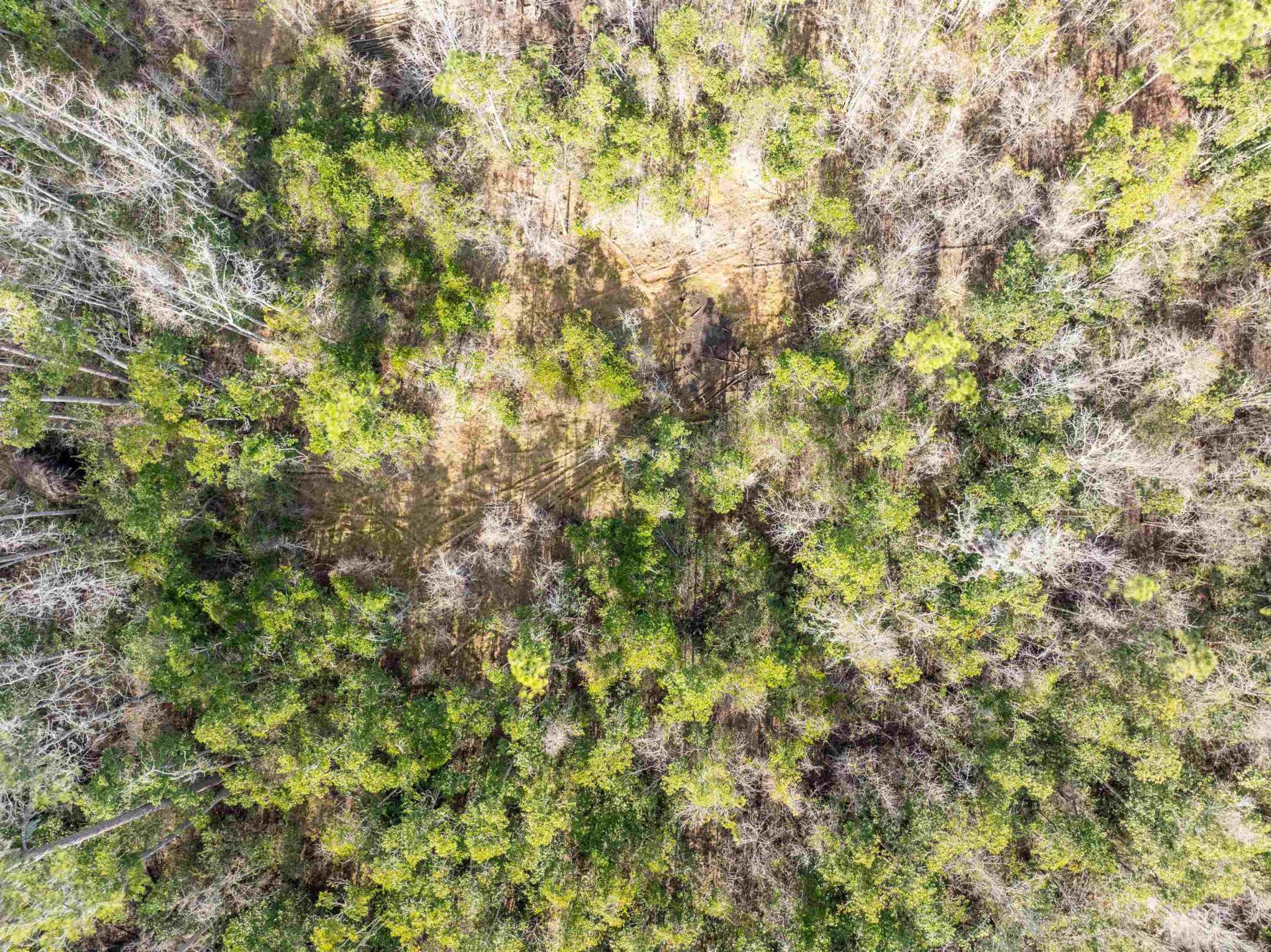 Tbd Cr 6 E, Jasper, FL 32052 Photo