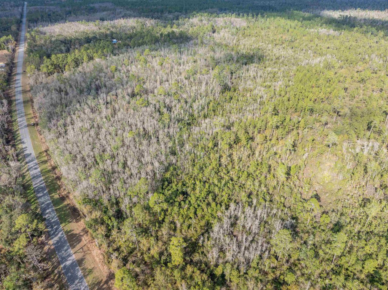Tbd Cr 6 E, Jasper, FL 32052 Photo