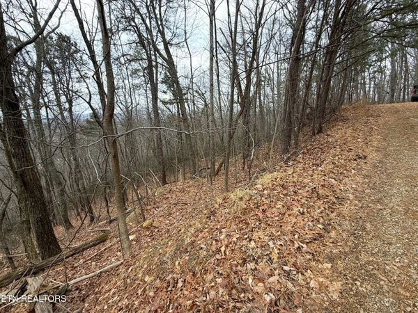 1.01 ac Green Forest Rd, Cosby, TN 37722